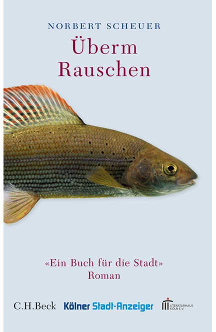 Cover: Norbert Scheuer, Überm Rauschen