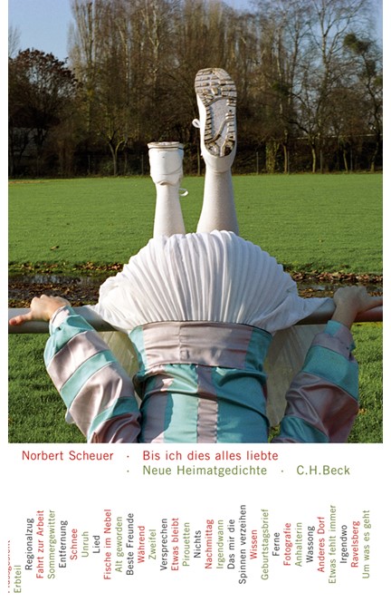 Cover: Norbert Scheuer, Bis ich dies alles liebte