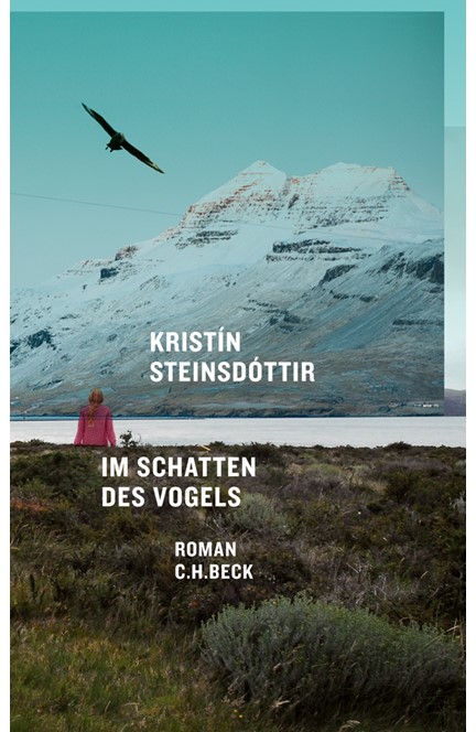 Cover: Kristín Steinsdóttir, Im Schatten des Vogels