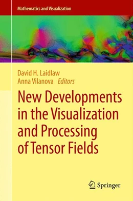 Abbildung von Laidlaw / Vilanova | New Developments in the Visualization and Processing of Tensor Fields | 1. Auflage | 2012 | beck-shop.de