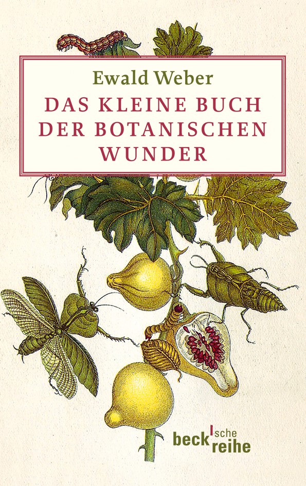 Cover: Weber, Ewald, Das kleine Buch der botanischen Wunder