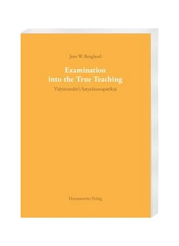 Abbildung von Borgland | Examination into the True Teaching | 1. Auflage | 2020 | beck-shop.de