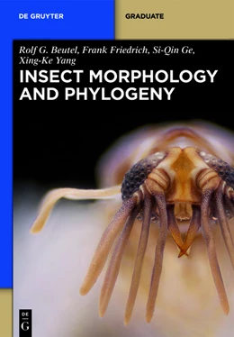 Abbildung von Beutel / Friedrich | Insect Morphology and Phylogeny | 1. Auflage | 2013 | beck-shop.de