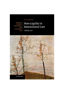 Abbildung von Johns | Non-Legality in International Law | 1. Auflage | 2013 | 96 | beck-shop.de