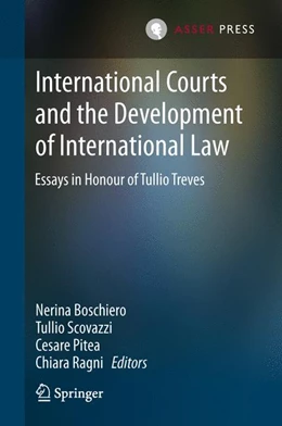 Abbildung von Boschiero / Scovazzi | International Courts and the Development of International Law | 1. Auflage | 2013 | beck-shop.de