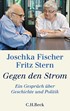 Cover: Fischer, Joschka / Stern, Fritz, Gegen den Strom
