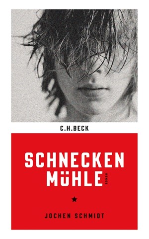 Cover: Jochen Schmidt, Schneckenmühle