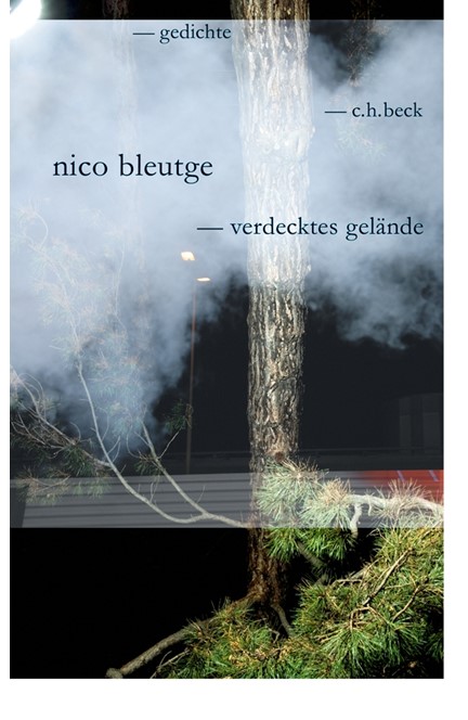 Cover: Nico Bleutge, verdecktes gelände