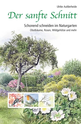Abbildung von Aufderheide | Der sanfte Schnitt | 1. Auflage | 2018 | beck-shop.de