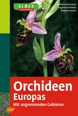 Abbildung von Baumann / Künkele | Ulmer Naturführer Orchideen Europas | 1. Auflage | 2006 | beck-shop.de