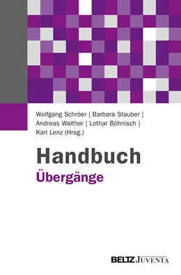 Abbildung von Schröer / Stauber | Handbuch Übergänge | 1. Auflage | 2013 | beck-shop.de