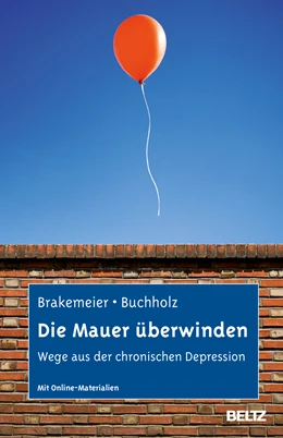 Abbildung von Brakemeier / Buchholz | Die Mauer überwinden | 1. Auflage | 2013 | beck-shop.de