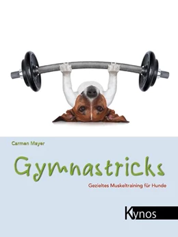 Abbildung von Mayer | Gymnastricks | 1. Auflage | 2013 | beck-shop.de