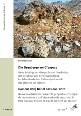 Abbildung von Schläpfer | Die Eisenberge am Ofenpass - Homens da(l) fier al Pass dal Fuorn | 1. Auflage | 2013 | 101 | beck-shop.de