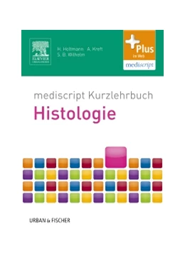 Abbildung von Holtmann / Kreft | mediscript Kurzlehrbuch Histologie | 1. Auflage | 2013 | beck-shop.de