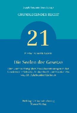 Abbildung von Schmidt-Gabain | Die Seelen der Gesetze | 1. Auflage | 2014 | beck-shop.de