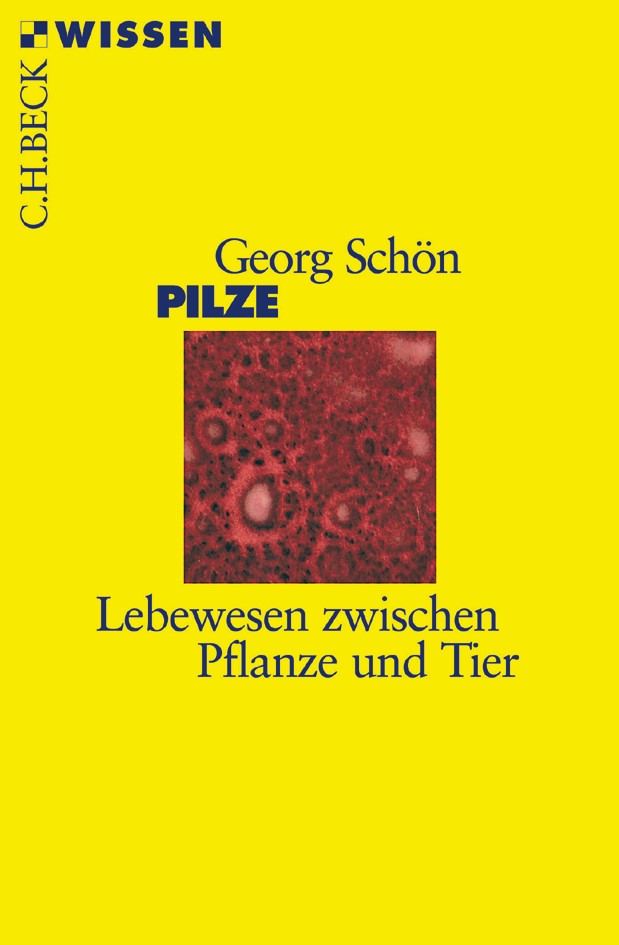 Cover: Schön, Georg, Pilze