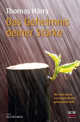 Abbildung von Härry / Eggers | Das Geheimnis deiner Stärke | 1. Auflage | 2015 | beck-shop.de