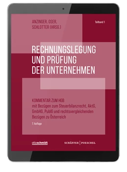 Abbildung von Rechnungslegung und Prüfung der Unternehmen Online | 1. Auflage | | beck-shop.de