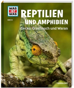 Abbildung von Rigos | WAS IST WAS Band 20 Reptilien und Amphibien. Gecko, Grasfrosch und Waran | 1. Auflage | 2014 | beck-shop.de