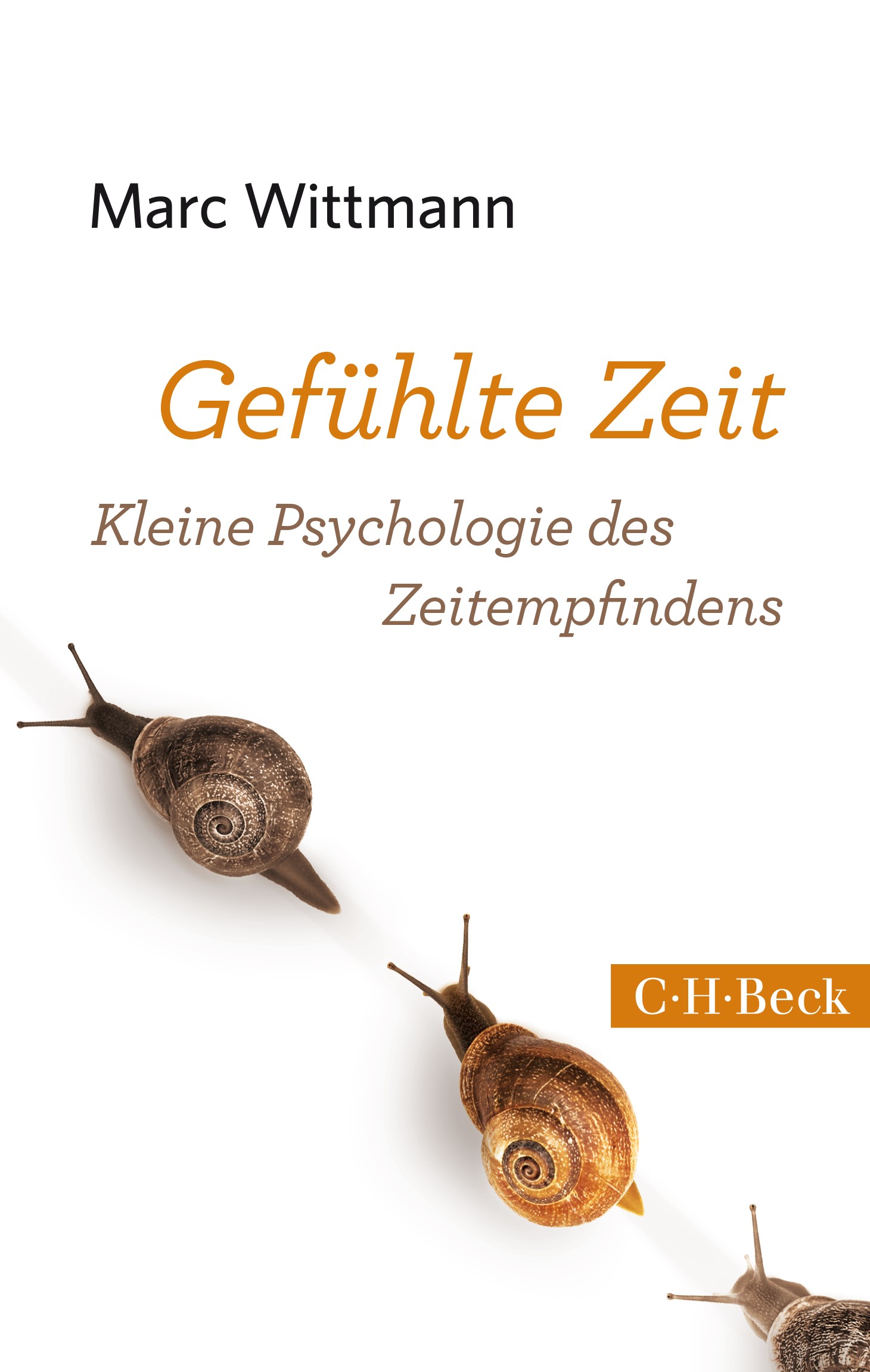Cover: Wittmann, Marc, Gefühlte Zeit