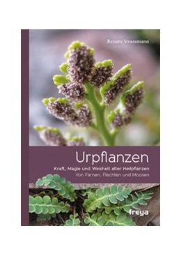Abbildung von Strassmann | Urpflanzen | 1. Auflage | 2016 | beck-shop.de