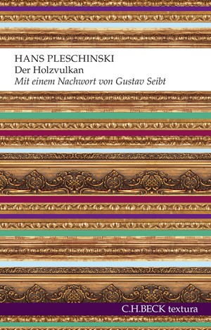 Cover: Hans Pleschinski, Der Holzvulkan