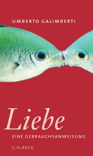 Cover: Annette Kopetzki|Umberto Galimberti, Liebe. Eine Gebrauchsanweisung