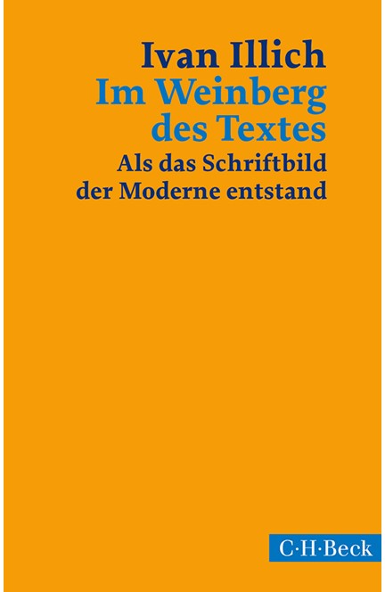 Cover: Ivan Illich, Im Weinberg des Textes