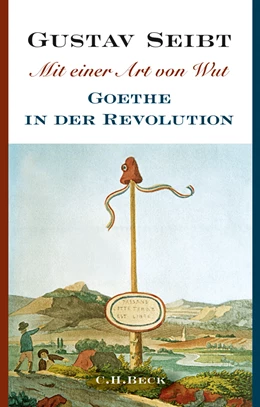 Abbildung von Seibt, Gustav | Mit einer Art von Wut | 1. Auflage | 2014 | beck-shop.de