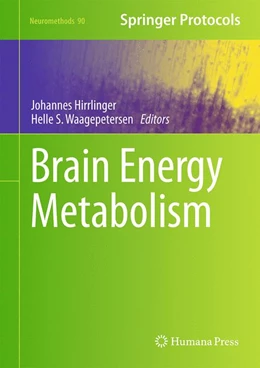 Abbildung von Hirrlinger / Waagepetersen | Brain Energy Metabolism | 1. Auflage | 2014 | 90 | beck-shop.de