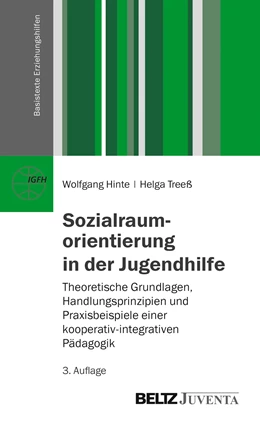 Abbildung von Hinte / Treeß | Sozialraumorientierung in der Jugendhilfe | 3. Auflage | 2014 | beck-shop.de