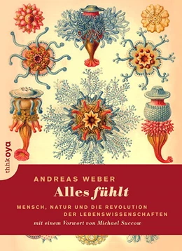 Abbildung von Weber | Alles fühlt | 1. Auflage | 2014 | beck-shop.de