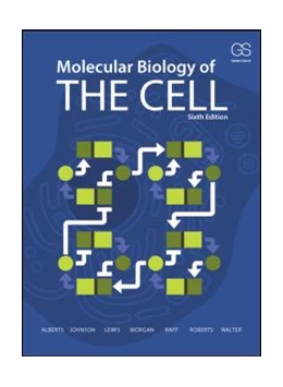 Abbildung von Alberts / Johnson | Molecular Biology of the Cell | 6. Auflage | 2014 | beck-shop.de