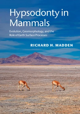 Abbildung von Madden | Hypsodonty in Mammals | 1. Auflage | 2014 | beck-shop.de