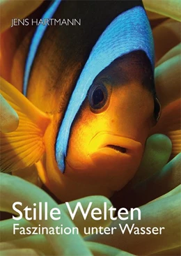 Abbildung von Hartmann | Stille Welten | 1. Auflage | 2015 | beck-shop.de