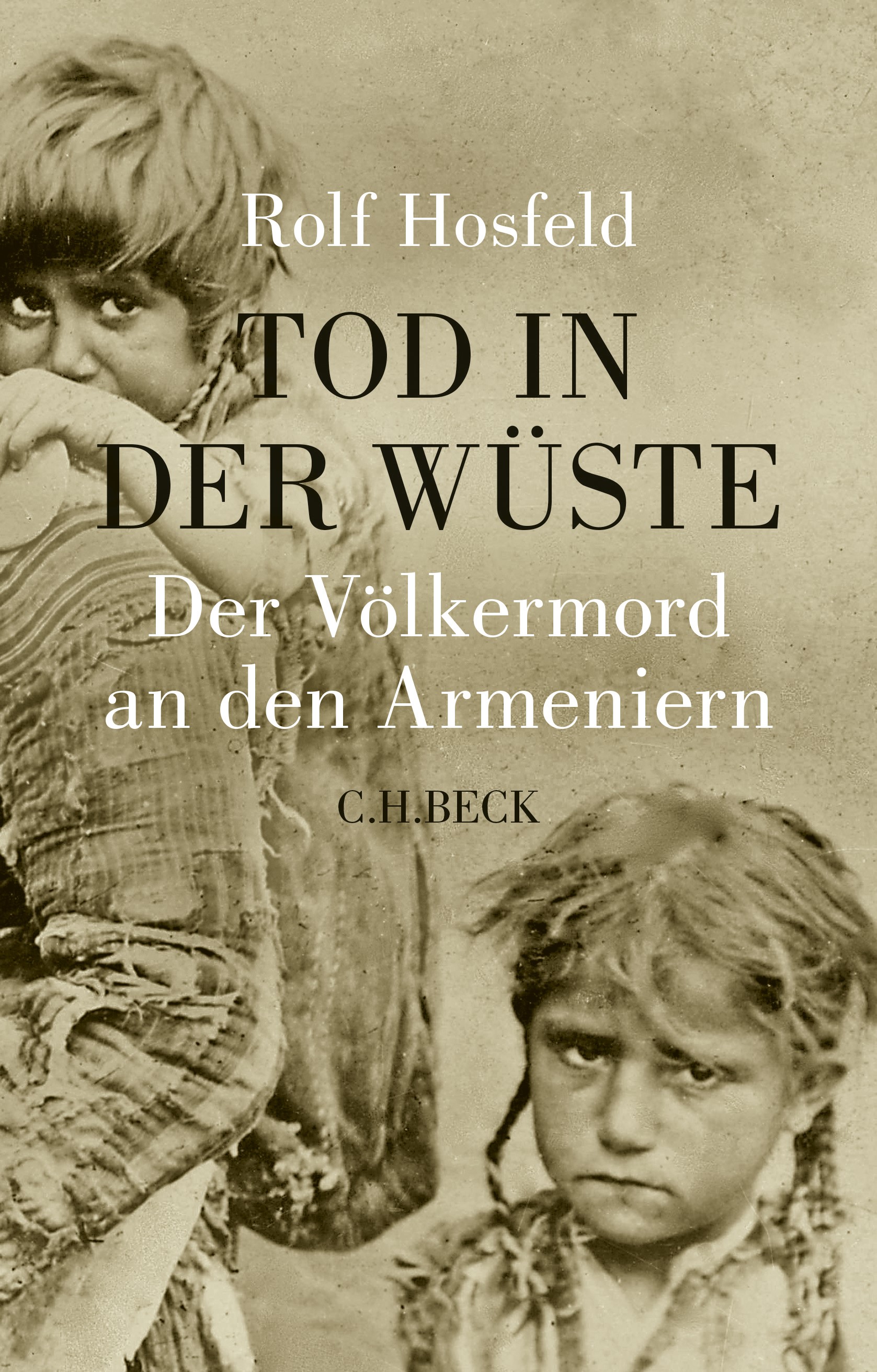 Cover: Hosfeld, Rolf, Tod in der Wüste