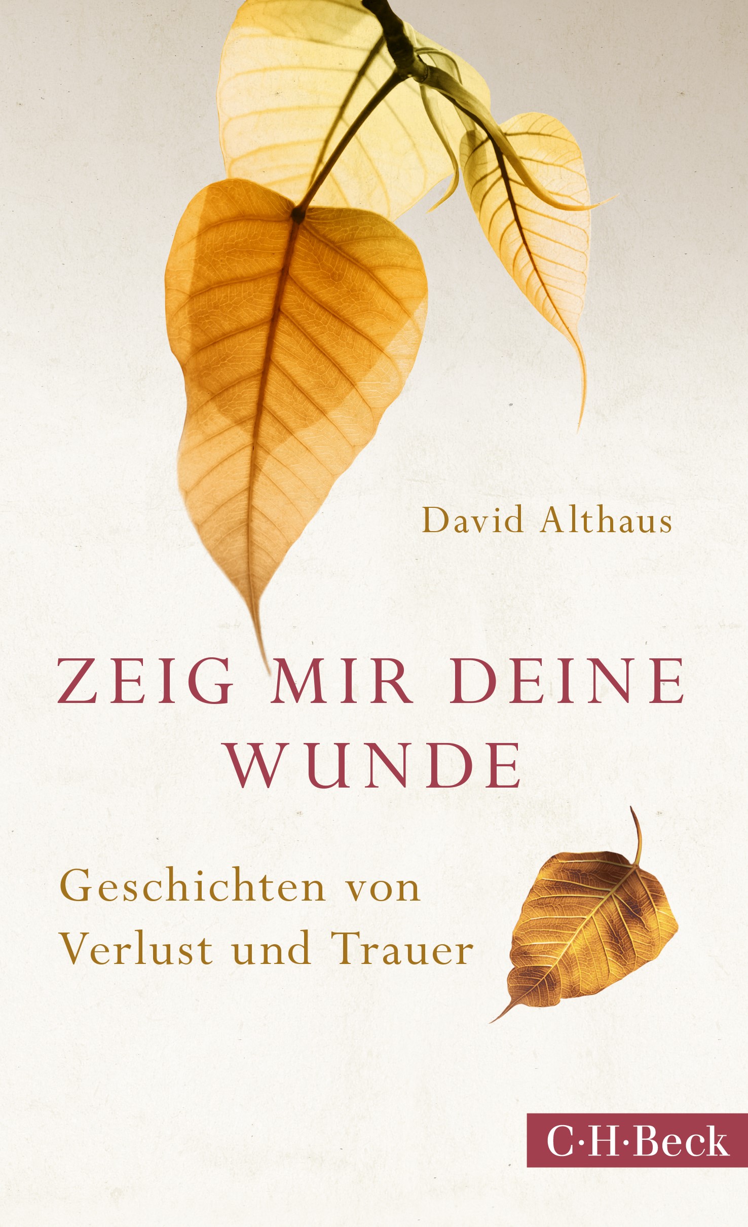 Cover: Althaus, David, Zeig mir deine Wunde