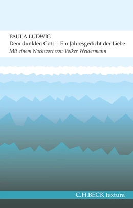 Abbildung von Ludwig, Paula | Dem dunklen Gott | 2. Auflage | 2015 | beck-shop.de