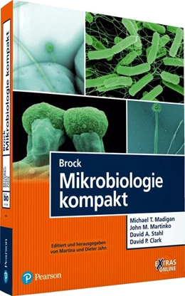 Abbildung von Madigan / Martinko | Brock Mikrobiologie kompakt | 13. Auflage | 2015 | beck-shop.de