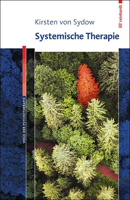 Abbildung von von Sydow | Systemische Therapie | 1. Auflage | 2015 | beck-shop.de