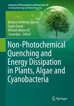 Abbildung von Demmig-Adams / Garab | Non-Photochemical Quenching and Energy Dissipation in Plants, Algae and Cyanobacteria | 1. Auflage | 2014 | beck-shop.de
