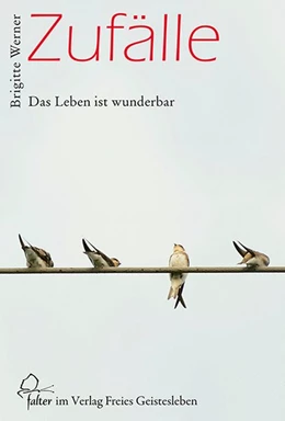 Abbildung von Werner | Zufälle | 1. Auflage | 2015 | beck-shop.de