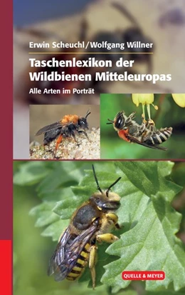Abbildung von Scheuchl / Willner | Taschenlexikon der Wildbienen Mitteleuropas | 1. Auflage | 2016 | beck-shop.de