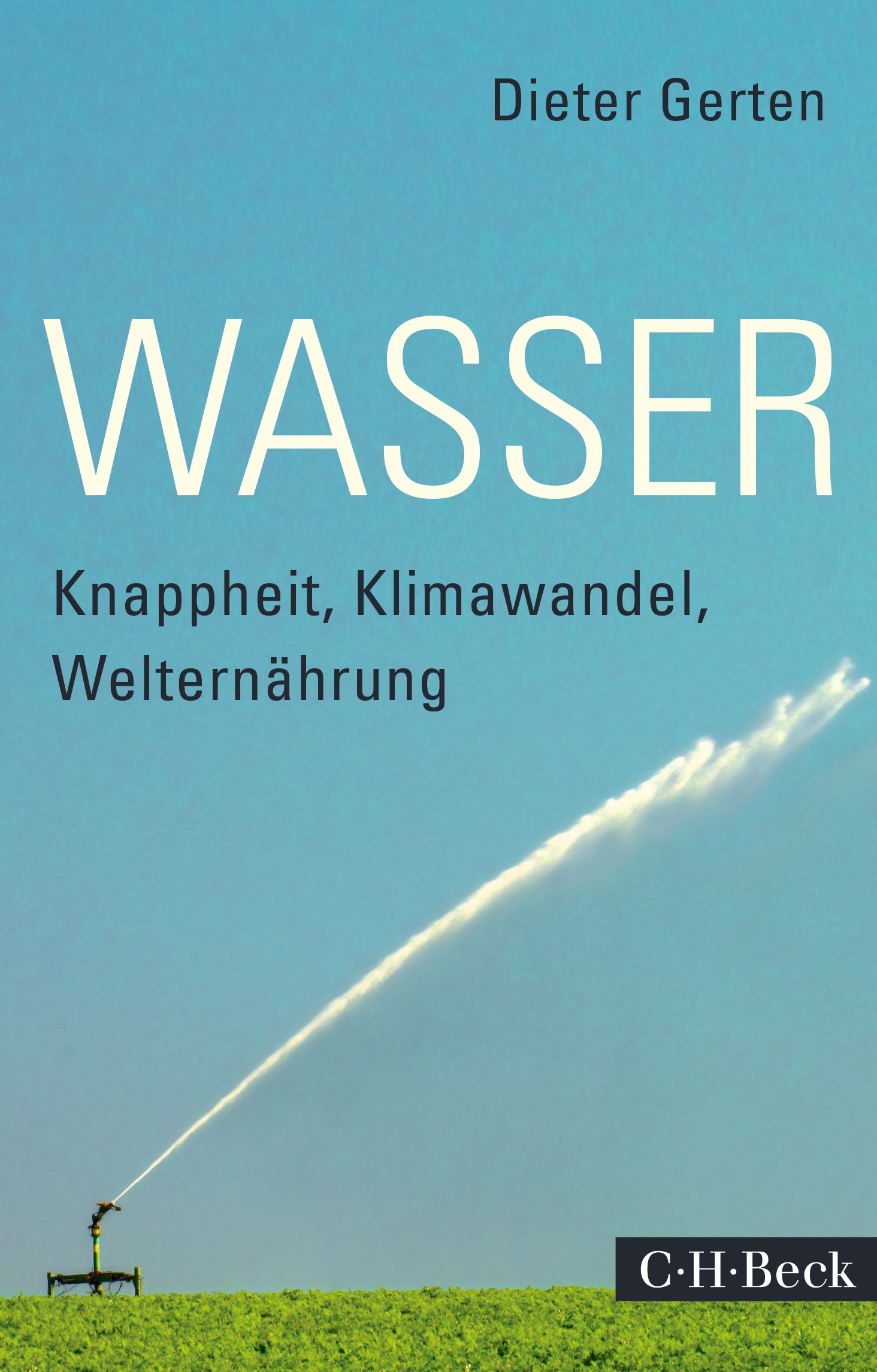 Cover: Gerten, Dieter, Wasser