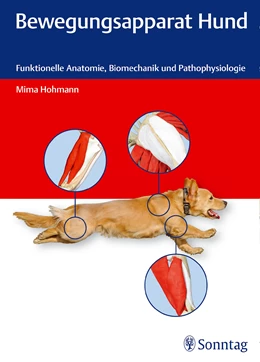 Abbildung von Hohmann | Bewegungsapparat Hund | 1. Auflage | 2015 | beck-shop.de