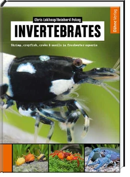Abbildung von Lukhaup / Pekny | Invertebrates | 1. Auflage | 2015 | beck-shop.de