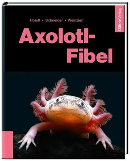 Abbildung von Hoedt / Schneider | Axolotl-Fibel | 4. Auflage | 2022 | beck-shop.de
