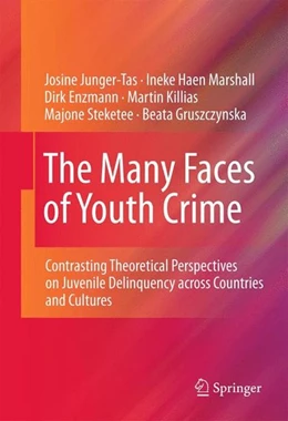 Abbildung von Junger-Tas / Marshall | The Many Faces of Youth Crime | 1. Auflage | 2011 | beck-shop.de