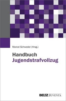 Abbildung von Handbuch Jugendstrafvollzug | 1. Auflage | 2015 | beck-shop.de